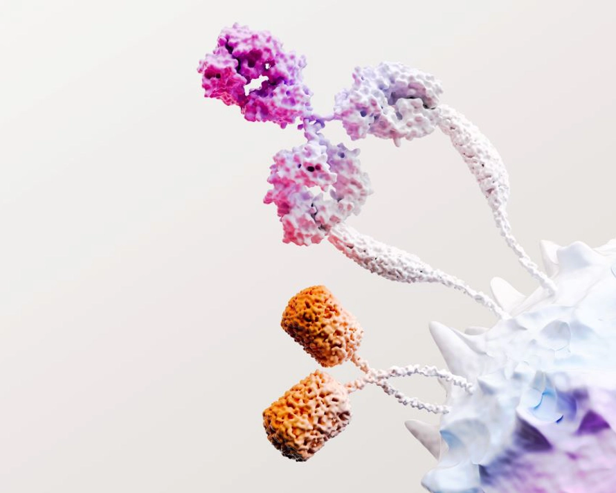 Immuno Oncology Science Grafik